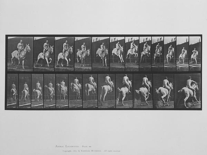 Yves Bresson/Musée d'art Moderne de Saint-Etienne Métropole © domaine public