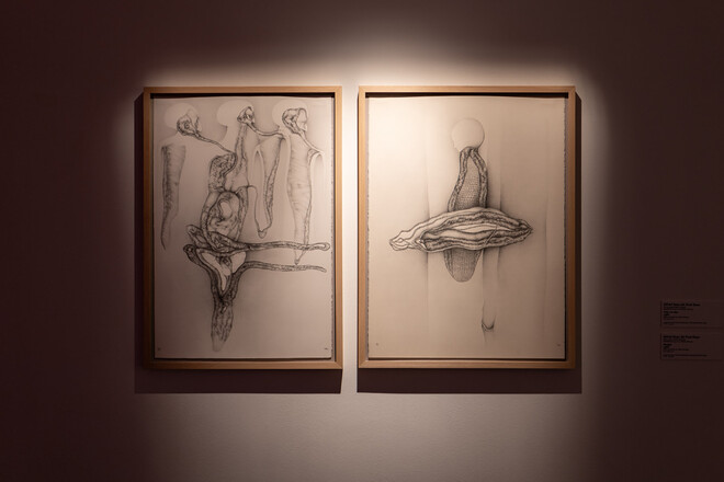 © Fanny Vandecandelaere
