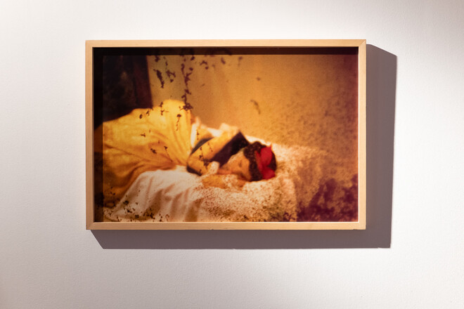 © Fanny Vandecandelaere