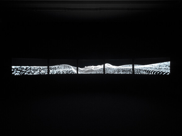 © Thomas Lannes