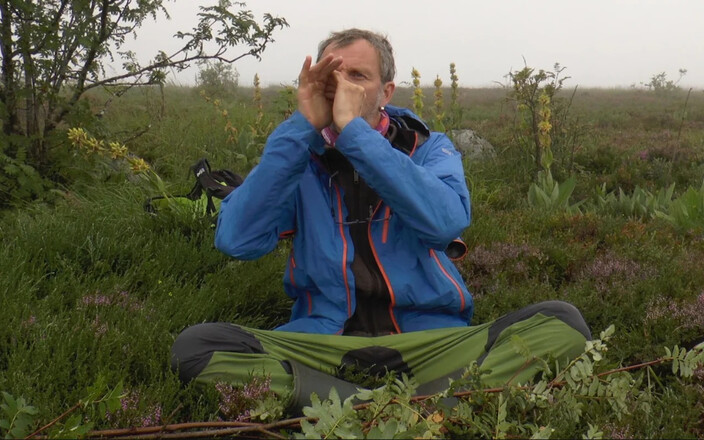 Jean-Baptiste Perret—Le Sorbier des oiseleurs