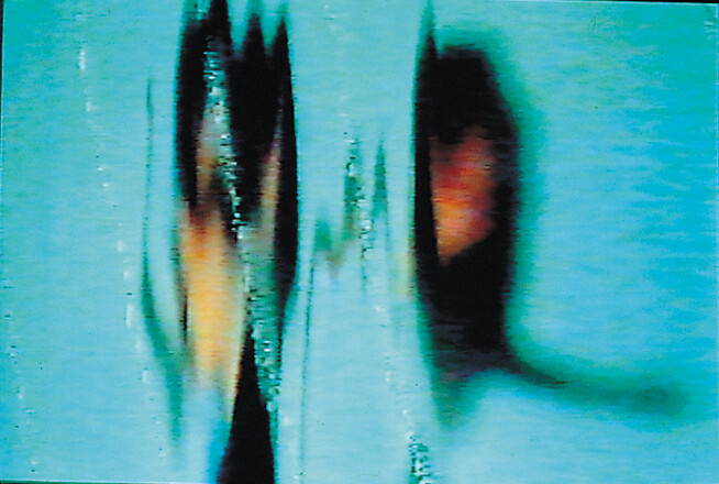 © Courtesy de l’artiste. Collection IAC