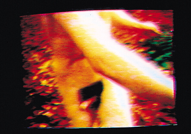 © Courtesy de l’artiste. Collection IAC